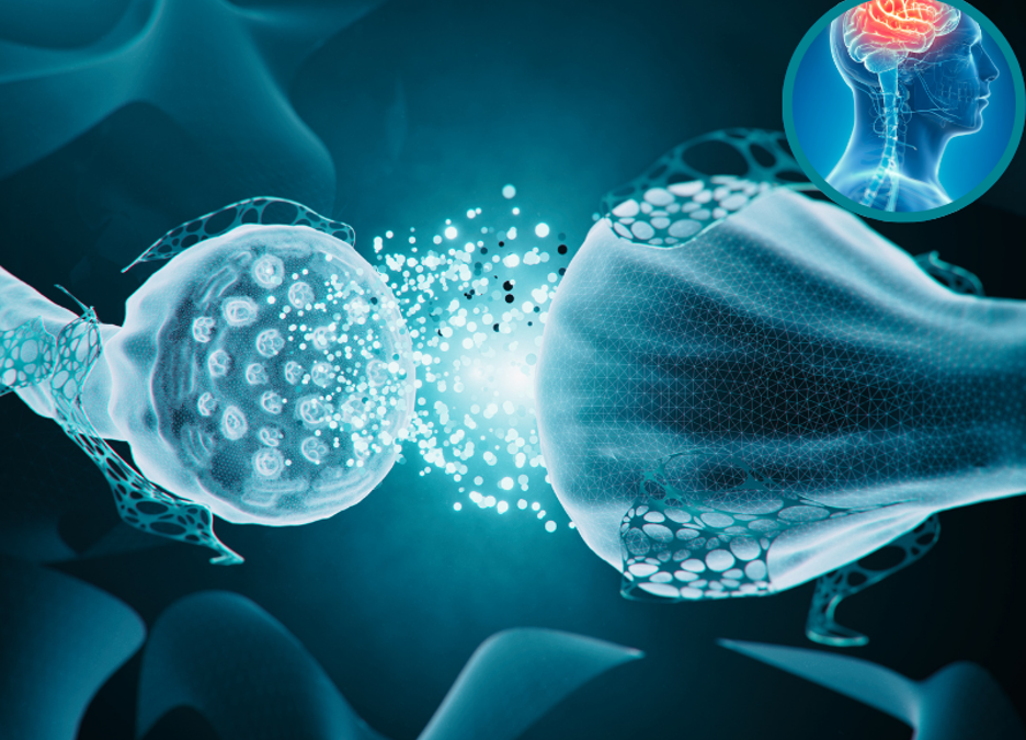 How Cobenfy signals a shift in psychiatric drug development—from dopamine to muscarinic targets and algorithmic models of brain function
